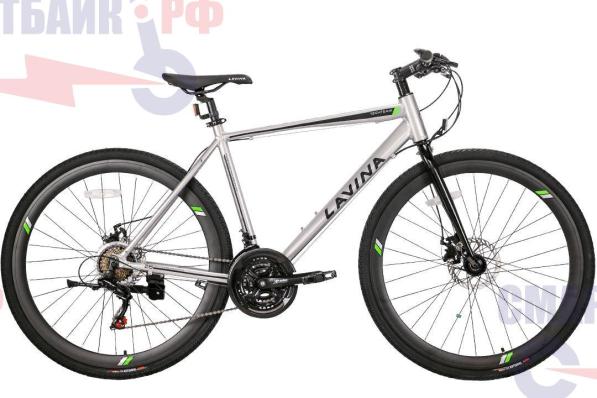 Велосипед горный TECH TEAM LAVINA 28", серый