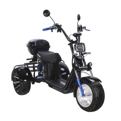 Электроскутер SKYBOARD TRIKE BR60-3000 PRO FAST