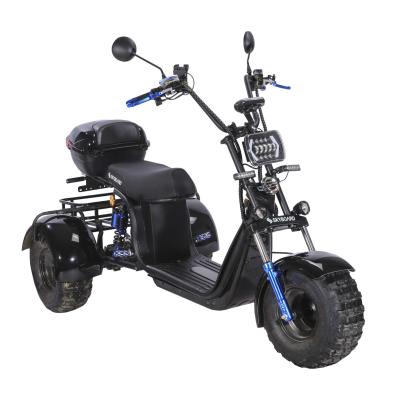 Электроскутер SKYBOARD TRIKE BR40-3000 PRO FAST OFF-ROAD