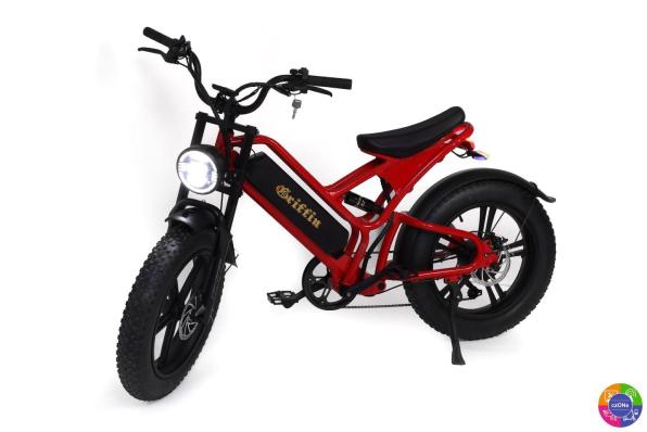 Электровелосипед Griffin F1 Black 1000W 16Ah 20"